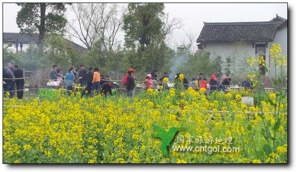 杭州西溪濕地春日雙休日燒烤人扎堆（圖）